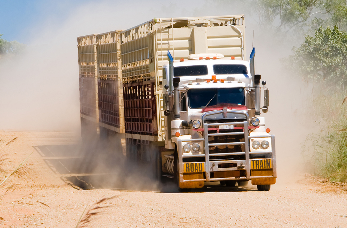New national animal welfare transport accreditation in the works ...