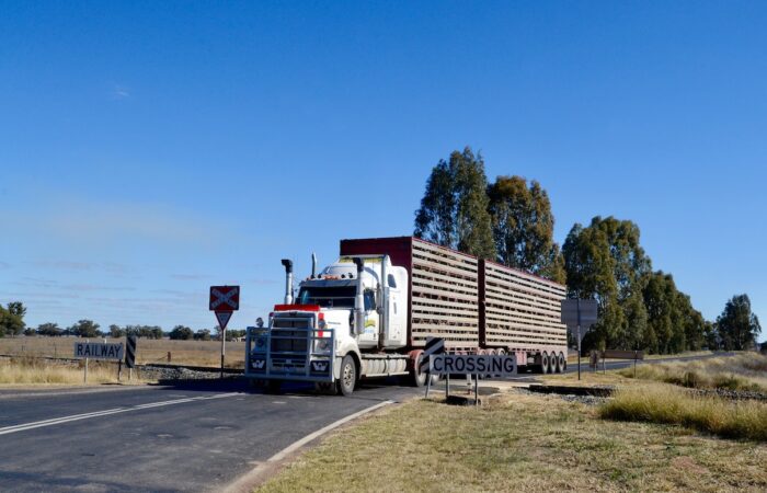 Livestock transport