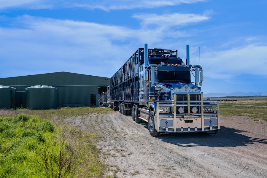 Big and beefy Kenworth Legend - OwnerDriver